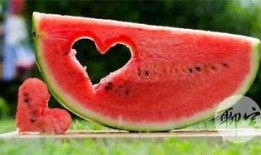 最新免费吃瓜,揭秘娱乐圈最新热点事件